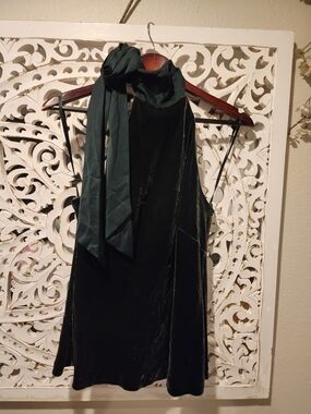 LAUREN RALPH LAUREN HIGH NECK VELVET BLOUSE SHEER SILK LONG TIE WOMENS SIZE 12